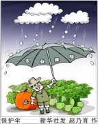 警惕政策性農(nóng)業(yè)保險貪腐案多發(fā)