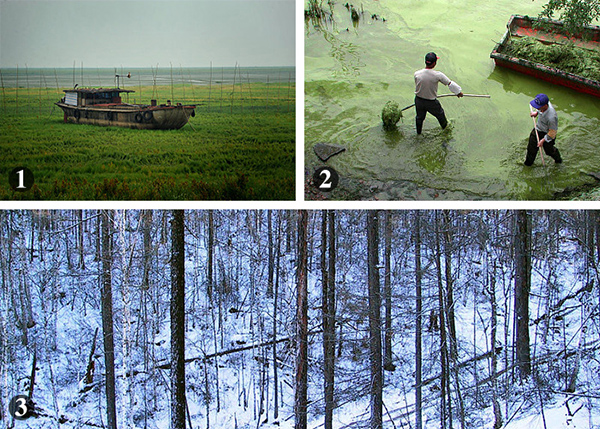 1：2011年，江西省新建縣南磯鄉(xiāng)，一艘大漁船擱淺在鄱陽湖湖底草坪上。2：2001年，工作人員在江蘇無錫黿頭渚景區(qū)“圍剿”太湖藍(lán)藻。3：2002年，采伐后大興安嶺稀疏的森林。
