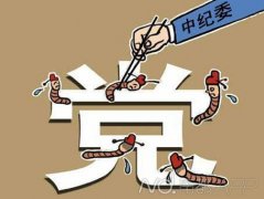 中紀(jì)委：有人妄圖擺平紀(jì)檢機關(guān)