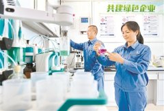 如何遏制“兩高”項目頂風(fēng)上馬 訪生態(tài)環(huán)境部環(huán)境規(guī)劃院副院長嚴剛