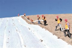 立案查處15人 其中省管干部4人 木里礦區(qū)以案促改重塑生態(tài)