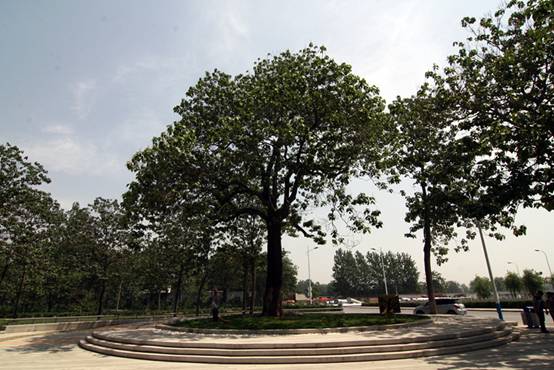 寫盡黨的好干部焦裕祿的為民情懷與英雄本色,雖然焦裕祿同志已離開我們53年,但焦裕祿精神是我們黨永遠(yuǎn)的榜樣力量和寶貴財(cái)富,廉政教育