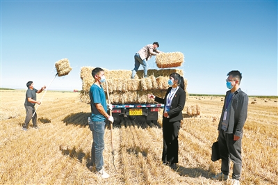 將“探頭”校準(zhǔn)擦亮