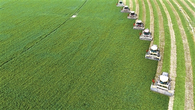 甘肅農(nóng)墾清除腐敗“污染源”修復(fù)政治生態(tài)